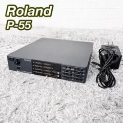 ローランド SOUND Canvas P-55 ピアノモジュール 音源モジュールのサムネイル