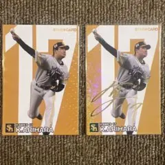 ⑥プロ野球チップスカード　2024　有原航平　STARCARD