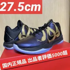 Nike Kobe 5 Protro 