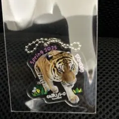 のんほいパーク アムールトラ アクリルキーホルダー