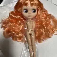 2025年最新】アイシードールカスタムの人気アイテム - メルカリ