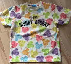 Item thumbnail for item 8517a2b0-6c61-4691-b51c-40f0a1ba56b1