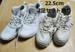 Item thumbnail for item 9ee73f5b-ca20-437e-92ac-12bf33e3bc69