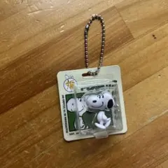 PEANUTS ピーナッツ パッケージミニチュアコレクション