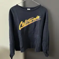 Champion チャンピオン スウェット トレーナー Mサイズ