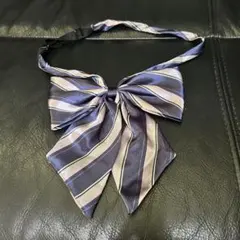 Item thumbnail for item 0c220942-d496-41e0-bc96-cfeb46de9343