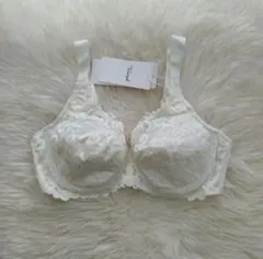 Item thumbnail for item de19ad38-7ebc-40c1-9a27-4984f87b1390