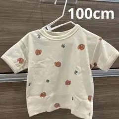 softcheese しまむら ポメラニアンTシャツ 100cm