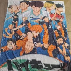 新品 ハイキュー‼︎ タオルブランケット ハイキュー！‼︎展KVイラスト 
