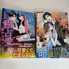 2026年最新】ベリーズ文庫5月新刊の人気アイテム - メルカリ