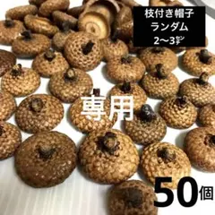 山遊び様　専用　ご確認ページ　レッドオーク　どんぐり　どんぐり帽子