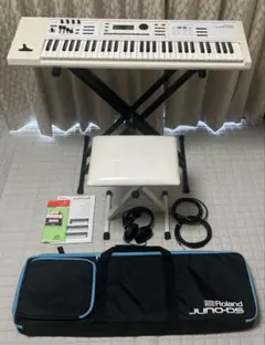 2025年最新】juno-ds61の人気アイテム - メルカリ