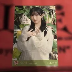 イコラブ 大場花菜 モラトリアム 生写真 チュウ - メルカリ
