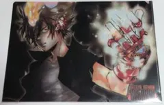 家庭教師ヒットマンREBORN！　ジャンプフェスタ2013 クリアファイル