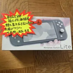 Nintendo Switch Lite グレー HDH-001