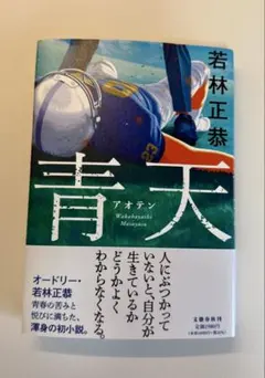 泉光子郎&八神太一 石田ヤマト&高石タケル パラレル - メルカリ