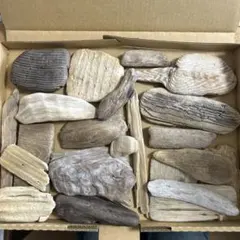 Item thumbnail for item 118f028c-ad84-4110-891f-1cd1e5db68e8