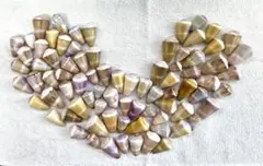 天然貝殻 イモ貝アソート大量セット ハンドメイド レジン 工作用 NO32
