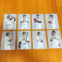 福岡ソフトバンクホークス 生写真 8枚セットのサムネイル