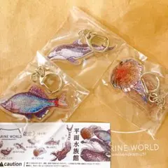 マリンワールド限定　平面水族館　アクリルキーホルダー3点セットのサムネイル