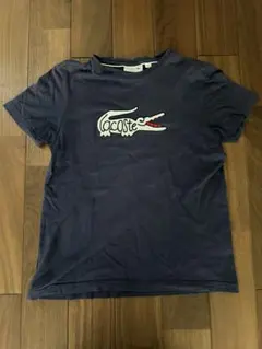 ラコステ tシャツ