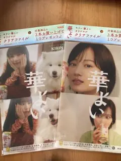KIRIN 華よい クリアファイル 2枚セット