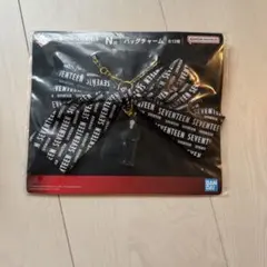SEVENTEEN 1番くじ スングァン バッグチャーム