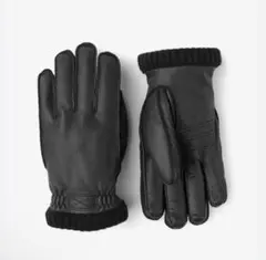 2025年最新】HESTRA スポーツの人気アイテム - メルカリ