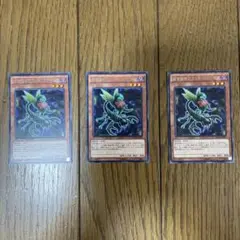 遊戯王　スコーピオ　⑪
