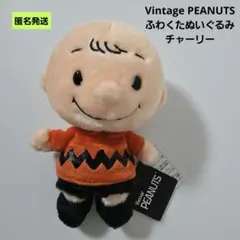 Vintage PEANUTSふわくたぬいぐるみ チャーリーブラウン スヌーピー