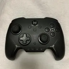 BIGBIG WON BLITZ コントローラー