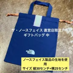 【新品未使用】 ノースフェイス 直営店限定ギフトバッグ中