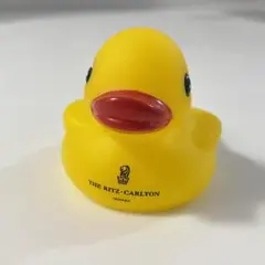 リッツカールトン沖縄　アヒル