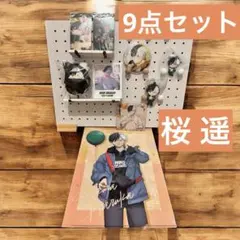 9点セット❤️ウィンブレ 桜遥 バースデー たぴぬい ウィンヒロ 缶バッジ