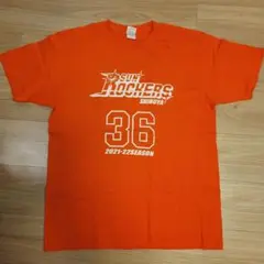 Item thumbnail for item 2989b0f0-e7df-4e64-958f-894d5fed9afd