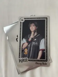 Stray Kids dominATE ライブフォトカード　エコパ　ハン