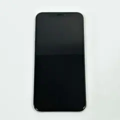 Apple アップル iPhone XS 64GB SIMフリー 本体