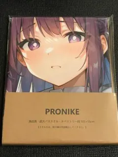 PRONIKE 萌えタオル バスタオル ブランケット　フェルン