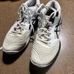 アシックス バレーボールシューズ 24.5
