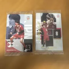 バレーボール男子日本代表 ツインウエハース2026