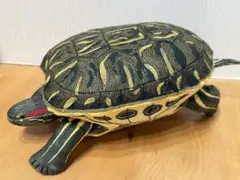 カメロク屋　立体図鑑 ミシシッピアカミミガメ ドデカミミ ぬいぐるみ