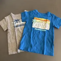 patagonia pataloha ハワイ限定　Tシャツ 2枚セット
