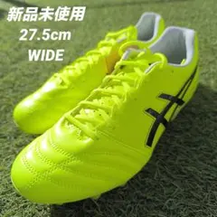 asics DS LIGHT ADVANCE WIDE 27.5cm