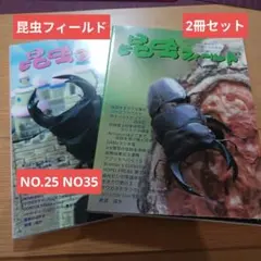 곤충 분야 25호, 35호 사슴벌레 사육