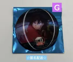 鬼滅の刃 無限城編 アクション アニメーション 缶バッジ 冨岡義勇 G