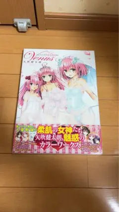 矢吹健太朗 画集 ToLOVEるダークネス 初版 帯付き - メルカリ
