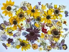 〜ponchan〜様 リクエスト 2点 まとめ商品