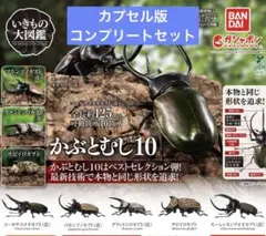 いきもの大図鑑　かぶとむし10 カプセル版　コンプリートセット　ガチャガチャ