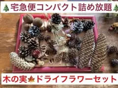 【完全無農薬】木の実セット　花材　ドライフラワー　リース　スワッグ　クリスマス