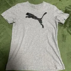 Item thumbnail for item 63538336-791a-41f8-afa0-fe62c3d838f3